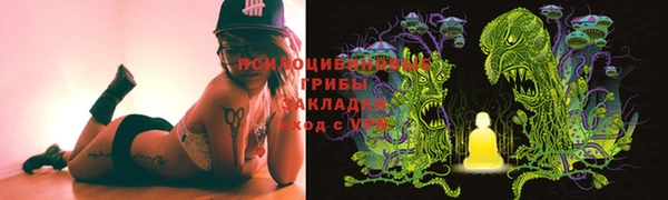 гидропоника Абаза