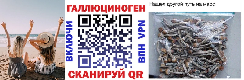 Галлюциногенные грибы прущие грибы  Североморск 